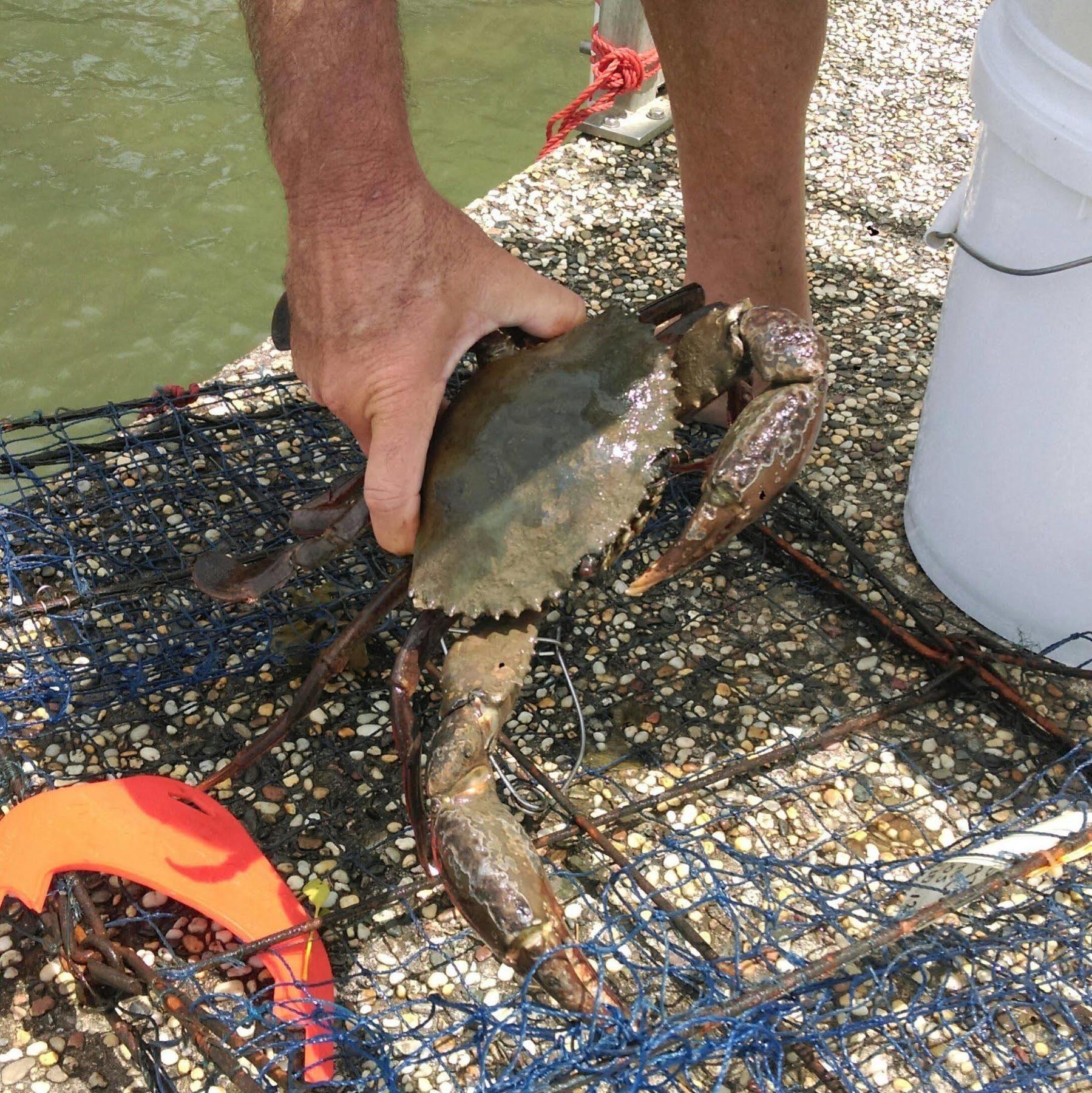 Cayman Quays Motel Noosaville Kültér fotó